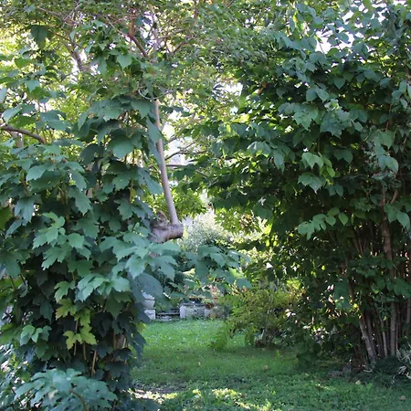 Villa Adry Sarre Your Freedom