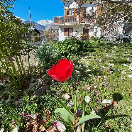 Adry Sarre Your Freedom Villa Aosta