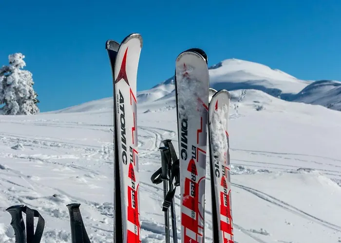 Adry Sarre Your Freedom