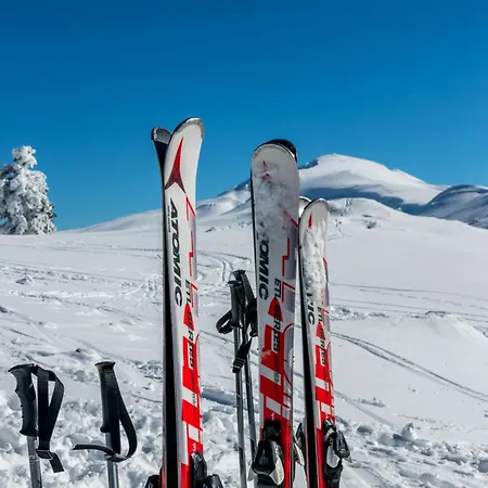 Adry Sarre Your Freedom