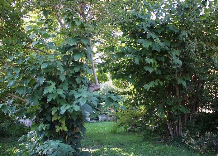 Villa Adry Sarre Your Freedom