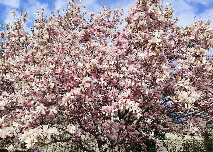 Adry Sarre Your Freedom *